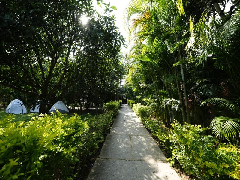 Resorts in Bangalore with Activities|Suggee Resort