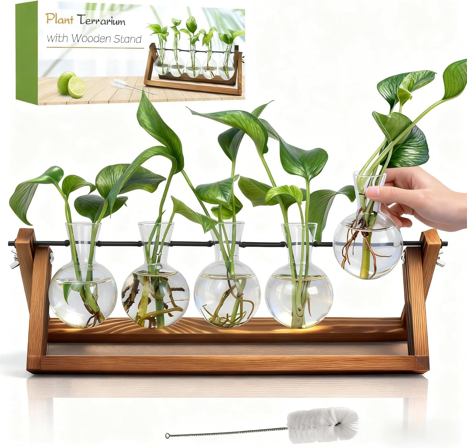 Plant Propagation Garden Decor Planter(5 Bulb Vase)