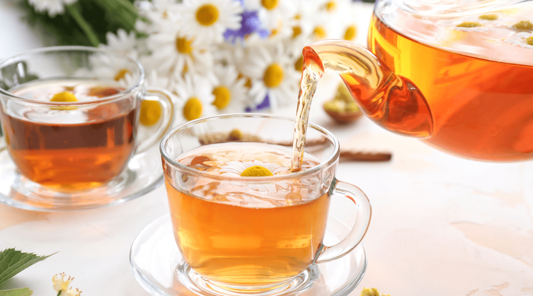Your Guide to Herbal Teas for Everyday Comfort 🍵