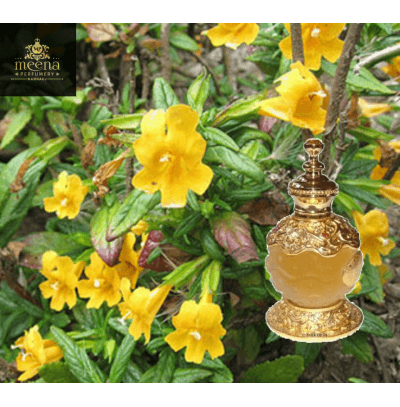 Exploring the World of Indian Attar: Your Guide to Wholesale Suppliers