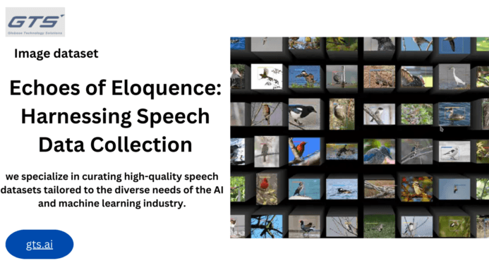 The Role of Image Datasets in Machine Learning: A Comprehensive Guide