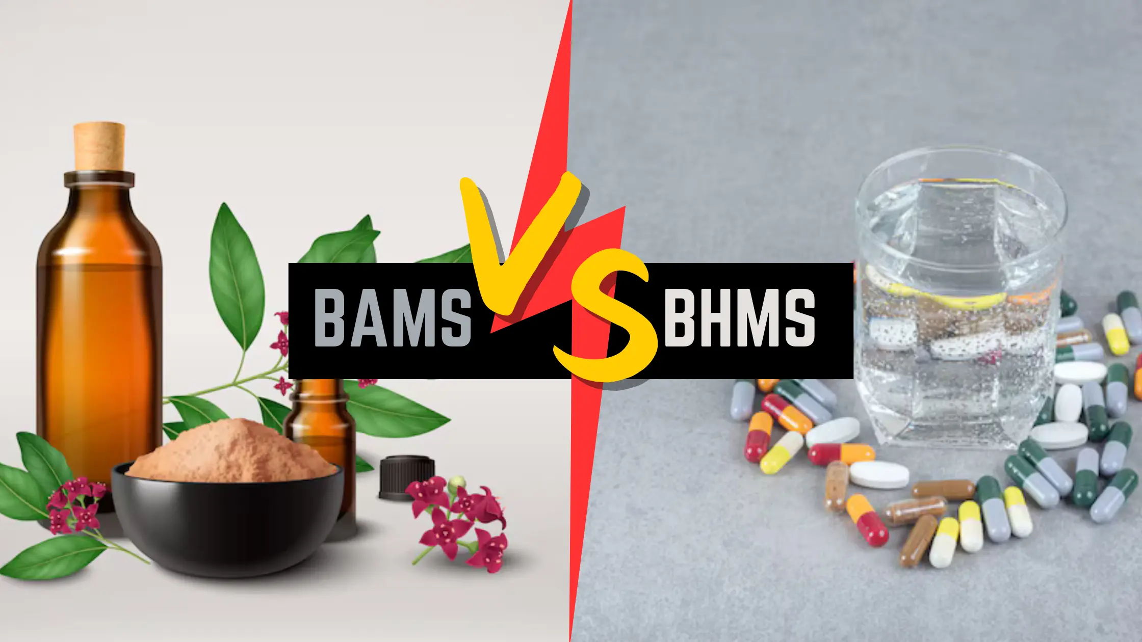 BAMS vs. BHMS: All You Need to Know