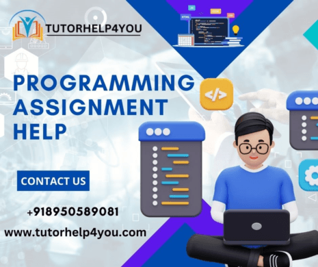 Programming Assignment Help