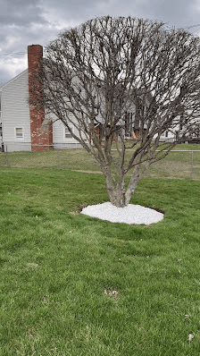 All In Landscaping