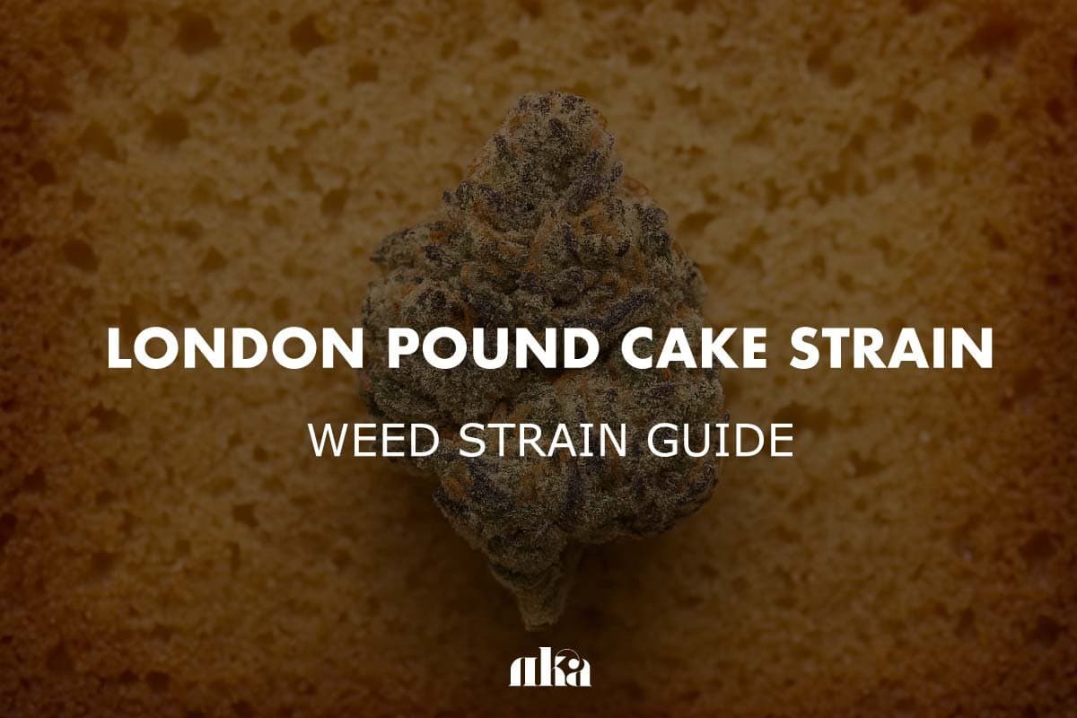 London Pound Cake Strain Review