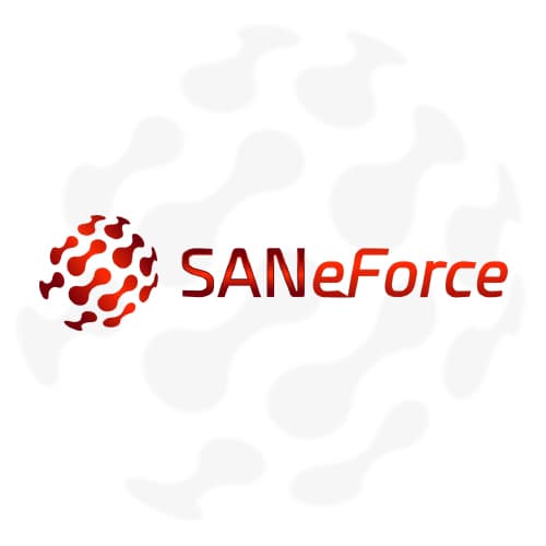 Empower Your Business with SANeForce Software Solutions