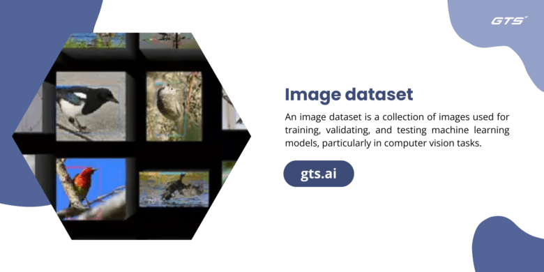 Understanding Image Datasets: The Foundation of Visual AI