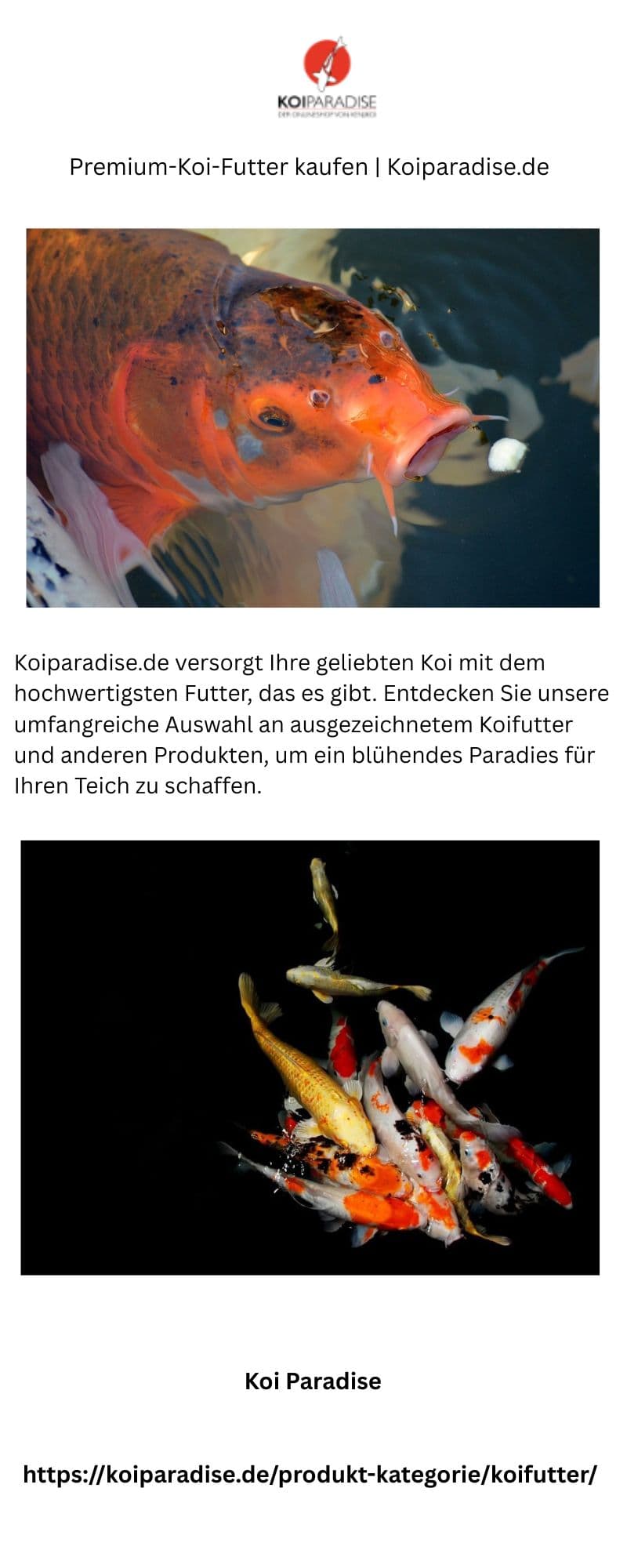 Premium-Koi-Futter kaufen | Koiparadise.de