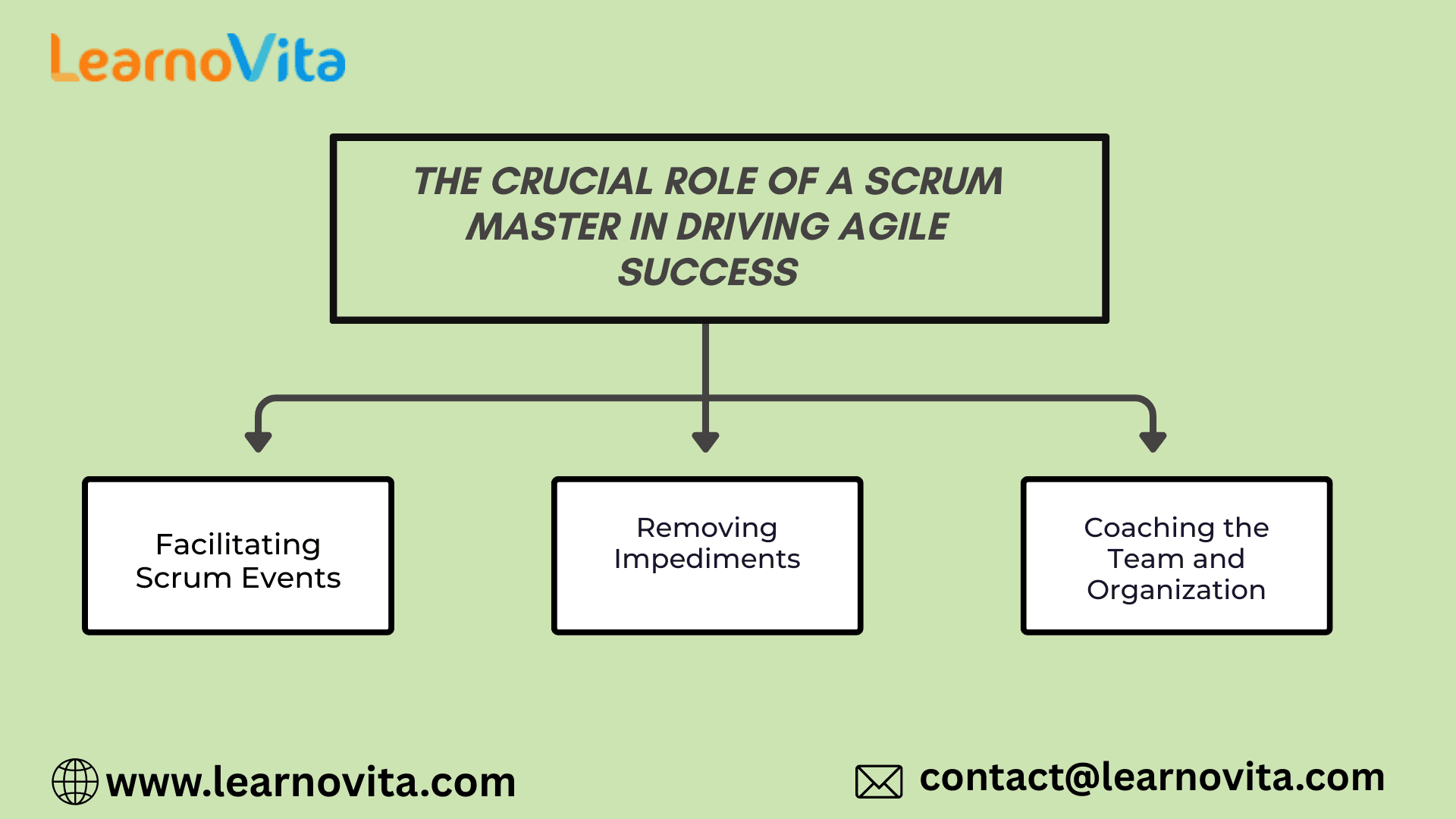The Crucial Role of a Scrum Master in Driving Agile Success