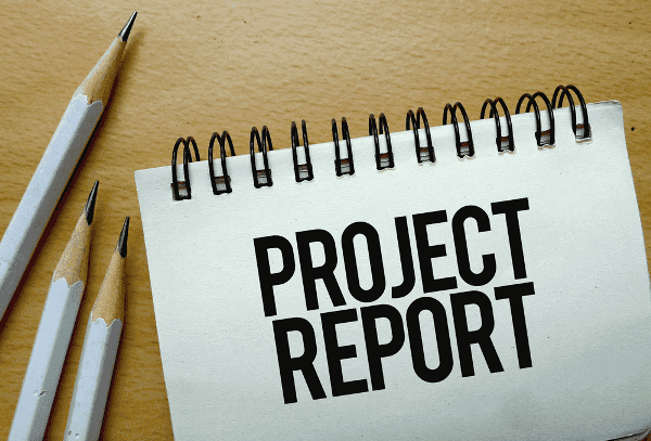 Feasibility Report 