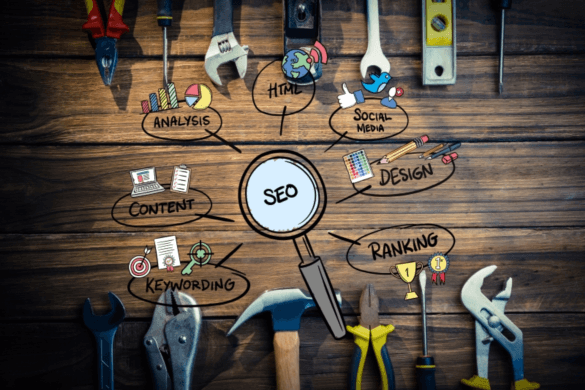Why Are Expert SEO Services So Profitable? 