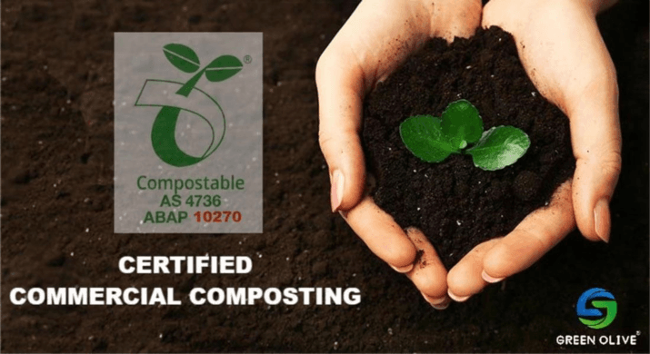 From waste to wonder: The magic of Bagasse products