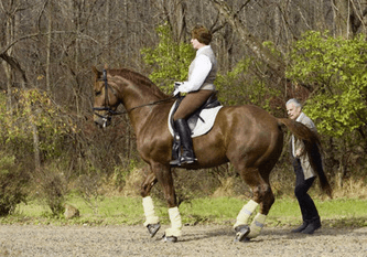 Hoof Boots for Trail Riding: A Comprehensive Guide