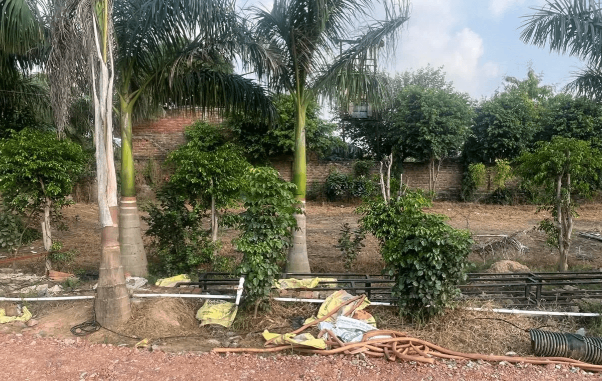 Gateway to Growth: High-Potential Commercial Plots 