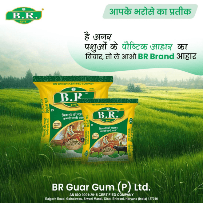 Best Binola Khal in Haryana