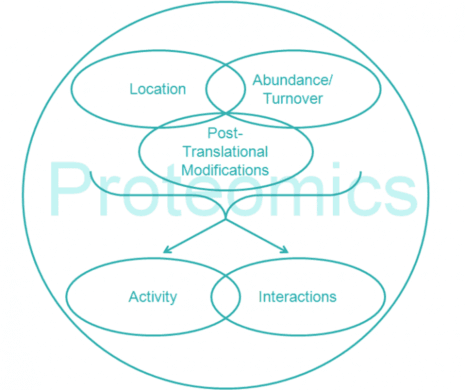 Proteomics Market Segments, Opportunity, Growth and Forecast By End-use Industry 2023-2033