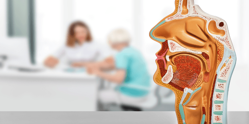 Ent Specialist In Gurgaon