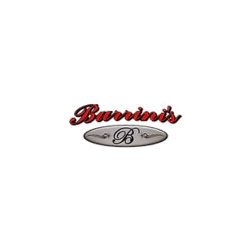 Burrini's & Sons Contracting LLC