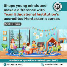 "Becoming the Best Montessori Educator: Your Guide to Top Online Teacher Training Programs"