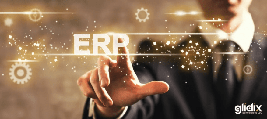 ERP Developement
