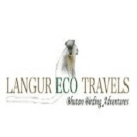 Winged Wonders: A Guide to bird watching tours