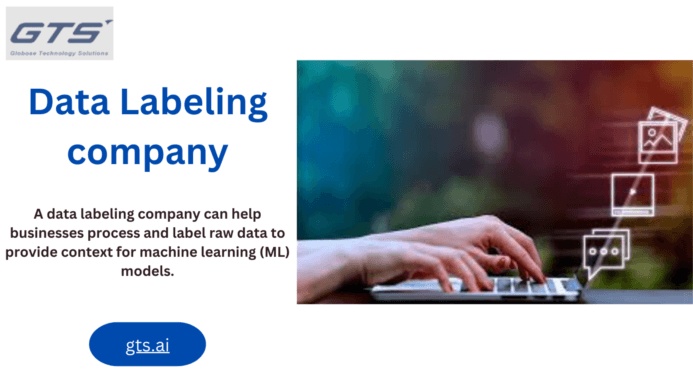 Why a Data Labeling Company is Essential for Machine Learning Success