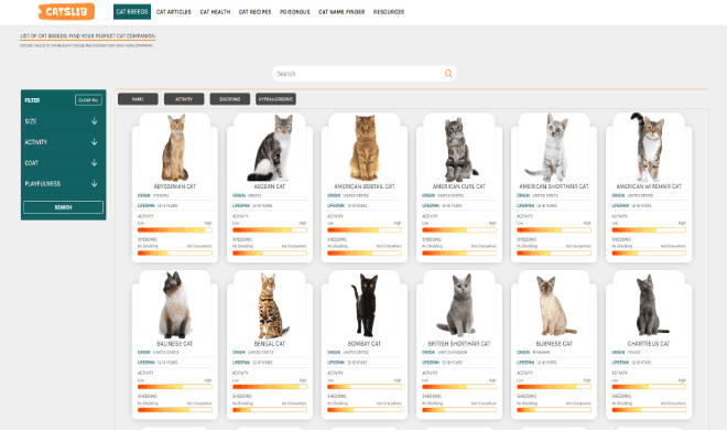 Complete List of Cat Breeds | Find Your Perfect Cat Companion
