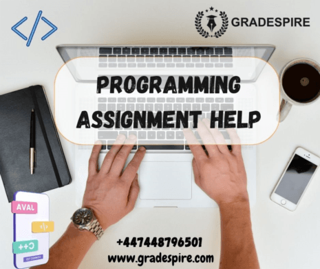 Programming Assignment help