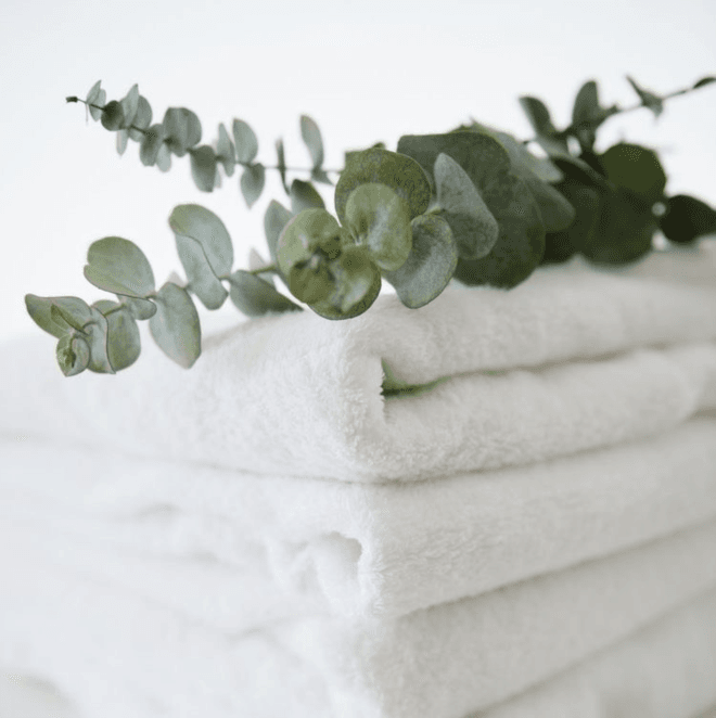 REFRESHING SMELL OF EUCALYPTUS
