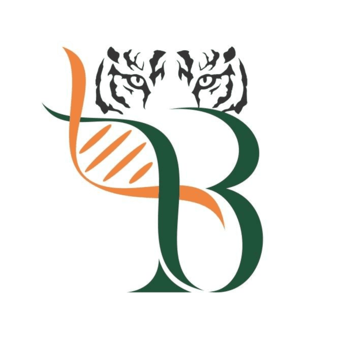 3B BlackBio Biotech India Limited - COVID Rapid Antigen Test
