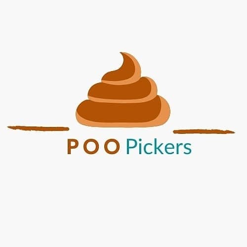 Waste Removal Service in Edmonton