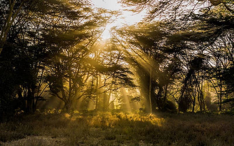 Top 10 Things to Do in Nairobi on Your Kenya Tour