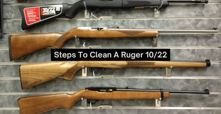 How to Clean a Ruger 10/22 Rifle