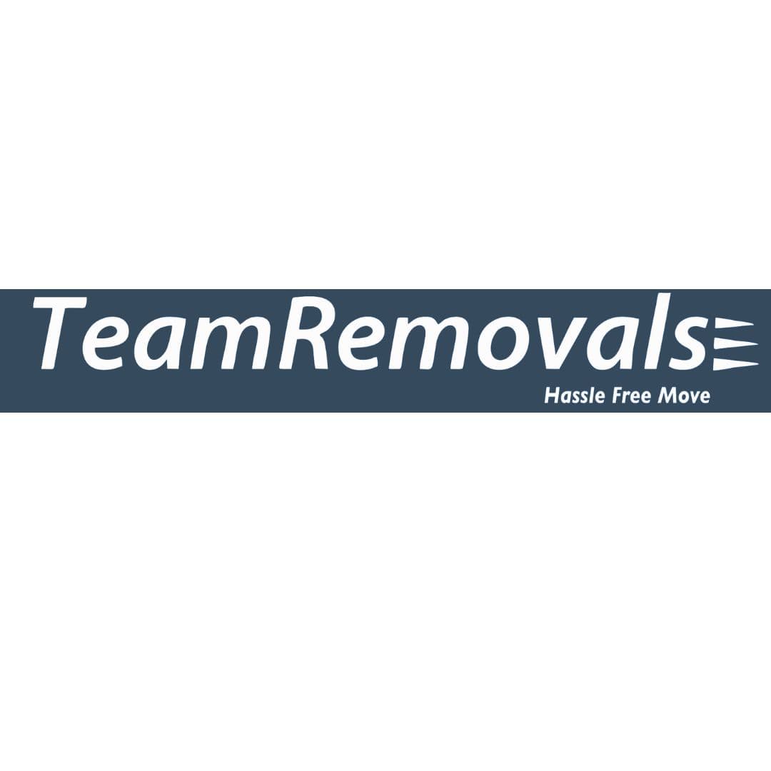  Professional Movers for Safe and Easy Furniture Relocation