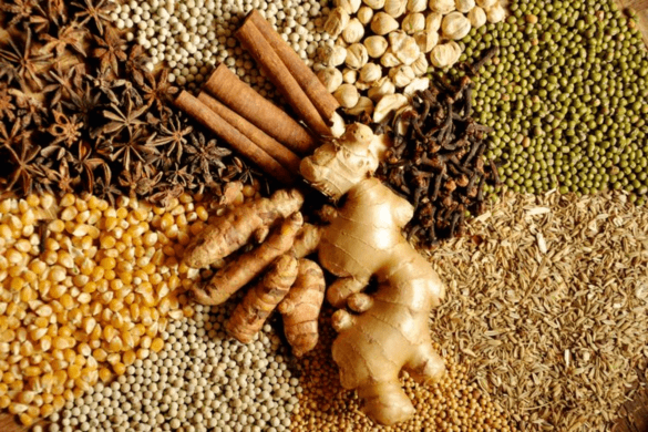INDONESIA SPICES IN BULK SUPPLIERS