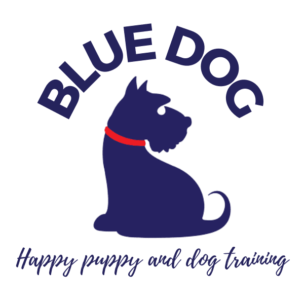 The Blue Dog Blog