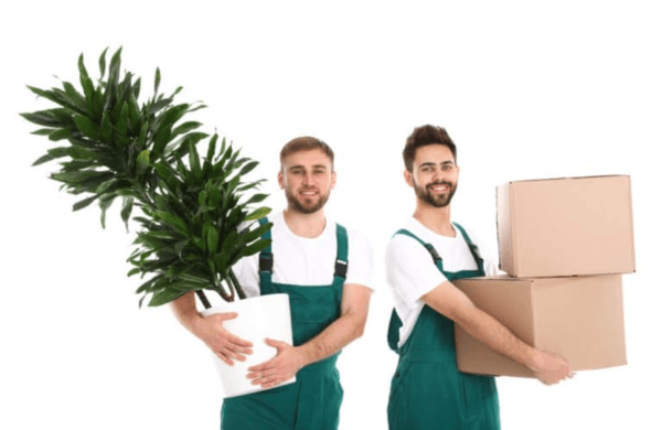 Tips for Packing Holiday Decorations