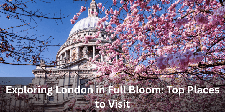 Exploring London in Full Bloom: Top Places to Visit