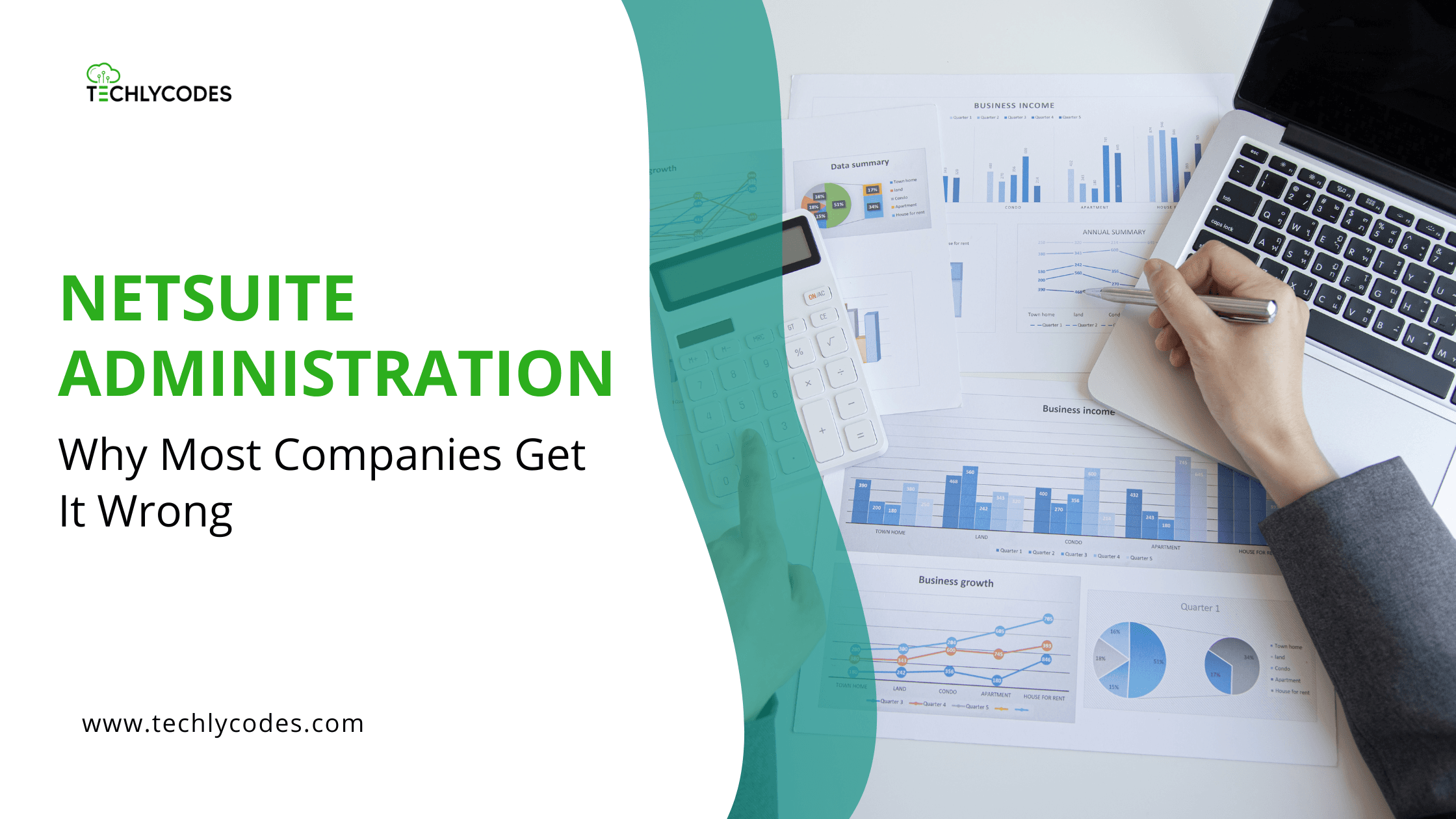 NetSuite Administration Services