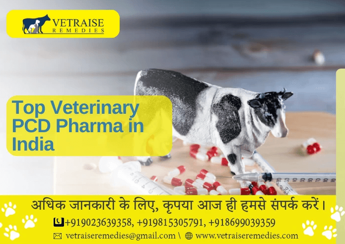 Top Veterinary PCD Pharma in India : Vetraise Remedies