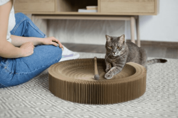 The Necessity of a Cat Scratching Post in Australia 