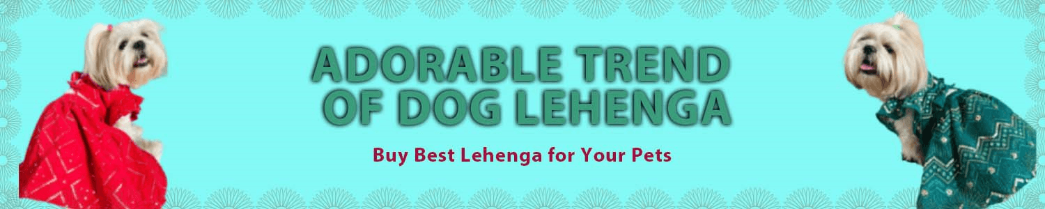 Dog Lehenga Choli for festive and wedding occasion