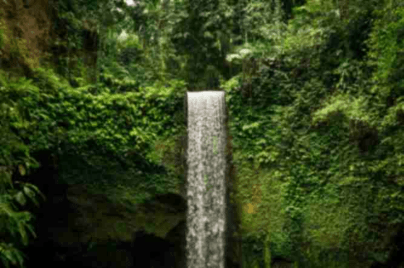 Bali Unveiled: Navigating the Enchanting Island's Geographic Charm