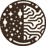 Psilocybin Therapy : a comprehensive guide