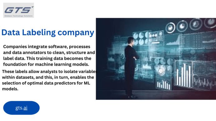 The Crucial Role of a Data Labeling Company in Machine Learning Projects
