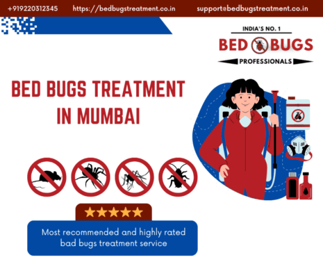Bed Bugs Treatment in Mumbai