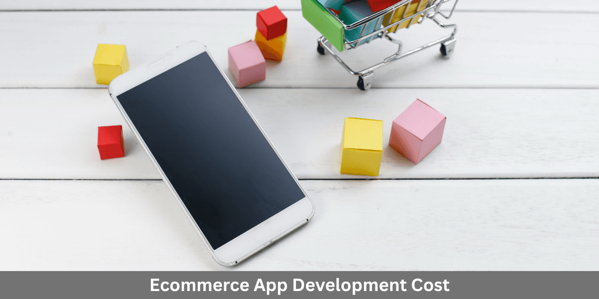 Cost of Making an Ecommerce App: A Complete Guide for 2026