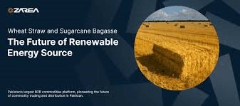 Wheat Straw and Sugarcane Bagasse: The Future of Renewable Energy Source