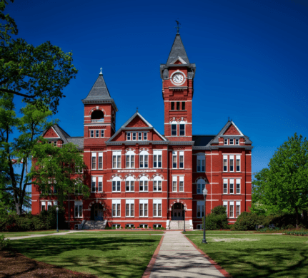 What are the key differences between Harvard College and Harvard University?