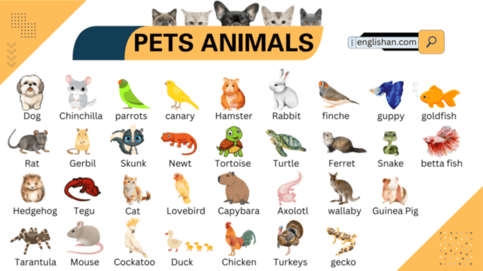 The 30 Best Animals names To Keep As Pets in 2024